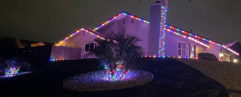 Home and Palms with Lights